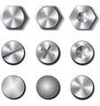 Set of screws and bolts on white background vector image
