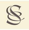 Letter S vector image