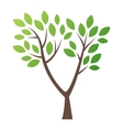 Stylized tree logo icon vector image