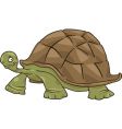 Big turtle vector image