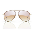 Aviator sunglasses vector image