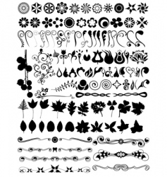 Floral design set vector image