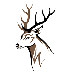 Deer vector image