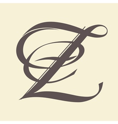 Letter Z vector image