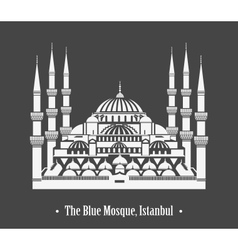 The Blue Mosque Istanbul vector image