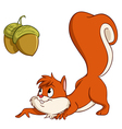 Squirrel with nuts vector image