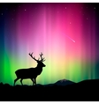 Northern lights with a deer in the foreground vector image