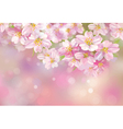 Floral background vector image