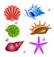 Sea shells symbols collection set Sea shells symbols collection set vector image