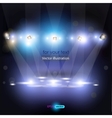 Scene with sparkles vector image