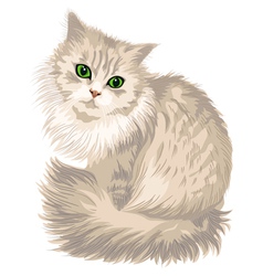 Kitik vector image