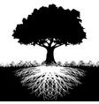 Tree roots silhouette vector image