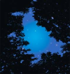 Forest and night sky vector image
