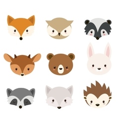 Cute woodland animals collection vector image