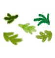 Fir branches illustrator vector image