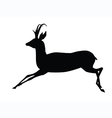 Antelope vector image