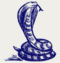 Snake sketch vector image