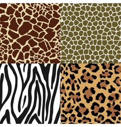 Animal Skin Patterns vector image