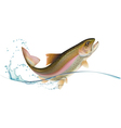 Jumping trout vector image