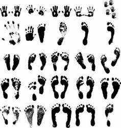Handprint and footprint vector image
