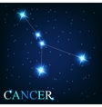 The cancer zodiac sign of the beautiful bright vector image