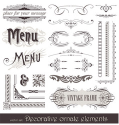 Vintage filigree elements vector image