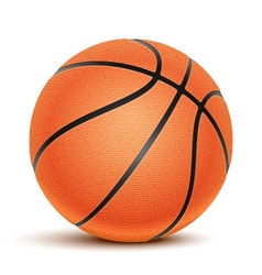 Basketball vector image