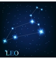 The leo zodiac sign of the beautiful bright stars vector image