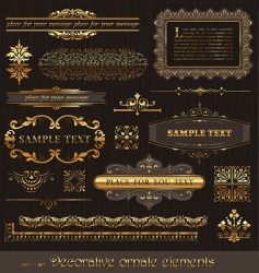 Vector set golden page decor vector image