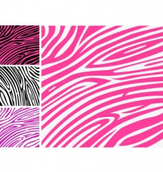 Zebra print background vector image
