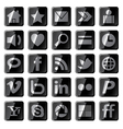 Social media icons vector image