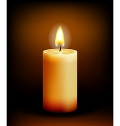 Church candle light vector image