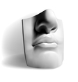 Detail of a famous statue by Michelangelo - David vector image