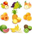 Summer fruit vector image
