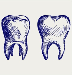 Tooth vector image