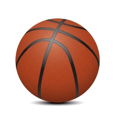 Basketball vector image
