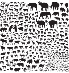 Silhouettes of wildlife Asia Silhouettes of wildlife Asia vector image