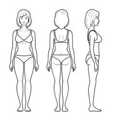 A female figure vector image