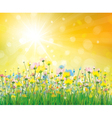 Floral background vector image