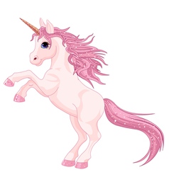 Magic unicorn vector image