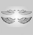 Wing vector image