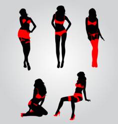 Sexy lingerie vector image