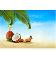 Vacation background Beach with palm trees and blue Vacation background Beach with palm trees and blue vector image