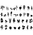 Plants collection vector image