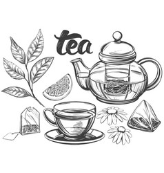 Hand drawn of kitchen utensils Royalty Free Vector Image