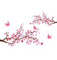 Sacura branches with birds vector image