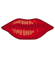 Sensuality lips vector image