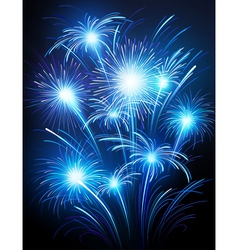 Fireworks vector image