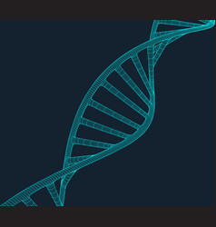 Grey dna with polygon line on blue background Grey dna with polygon line on blue background vector image