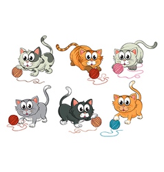 Cats playing with wool vector image